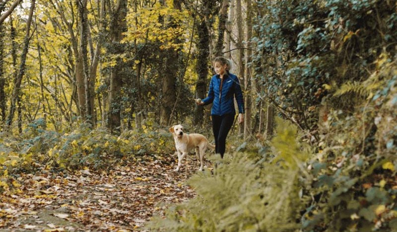 Kvinna och hund som promenerar i höstskog