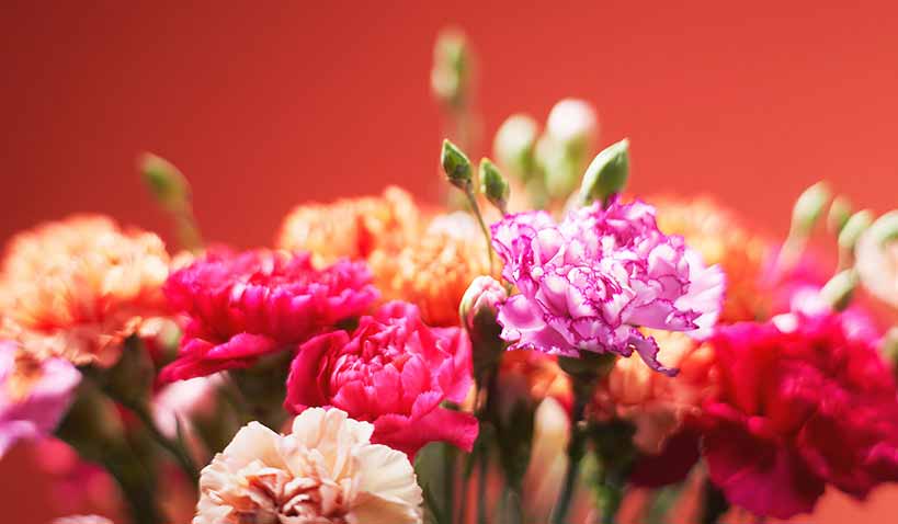 Blommor från Euroflorist