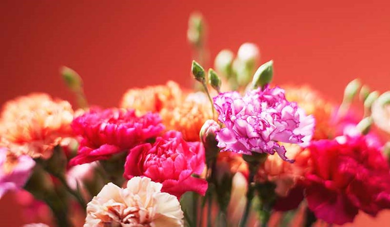 Blommor från Euroflorist